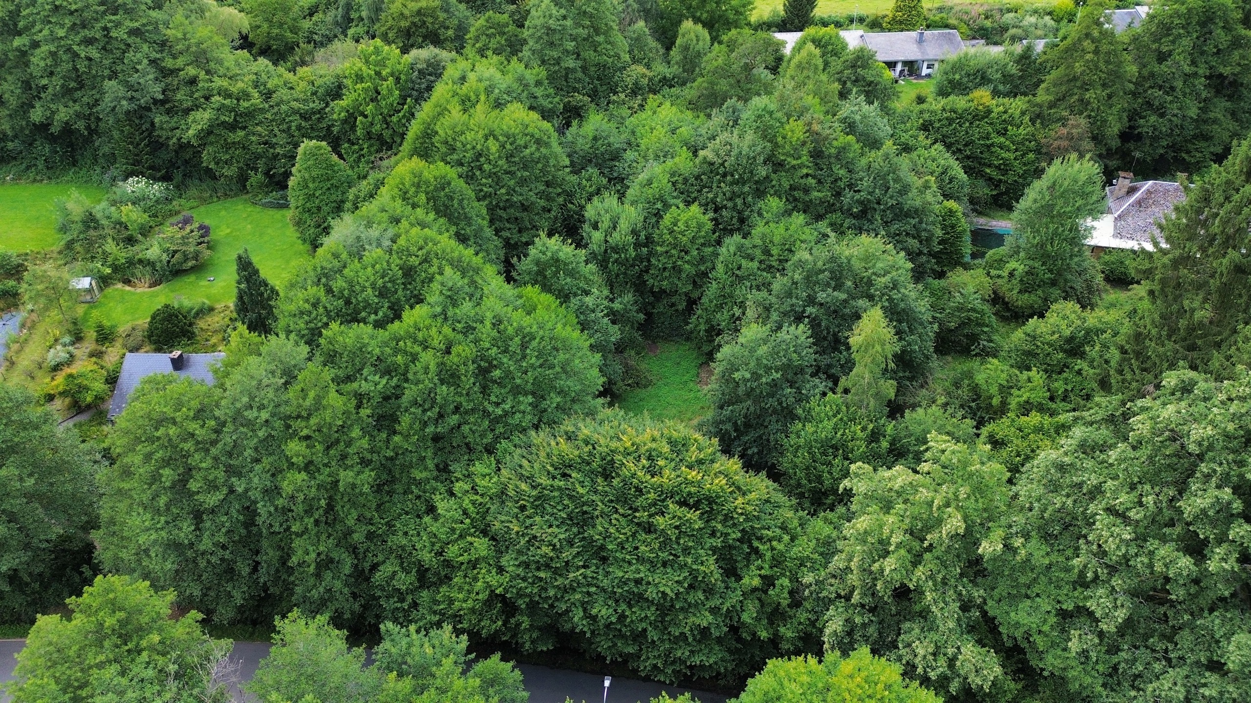 Grond te koop in Stoumont - foto 4