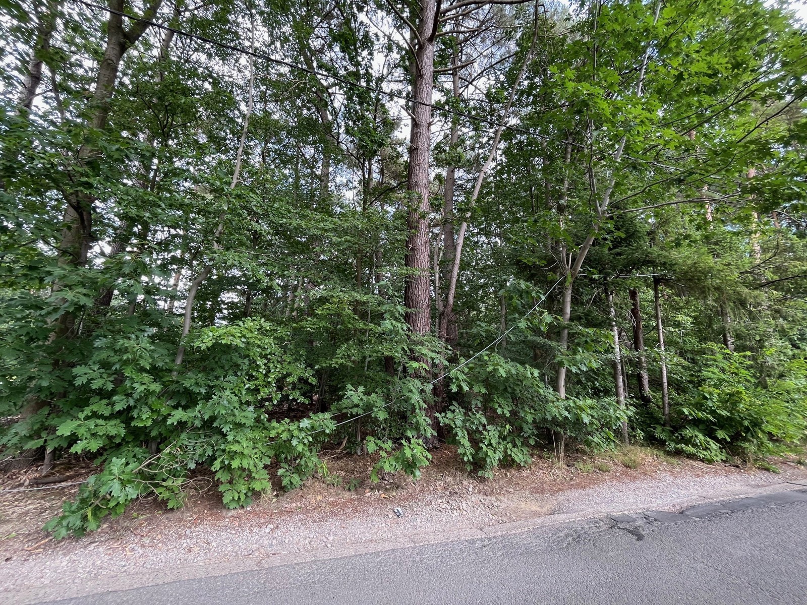 Bouwgrond voor open bebouwing 1.567m² - foto 4