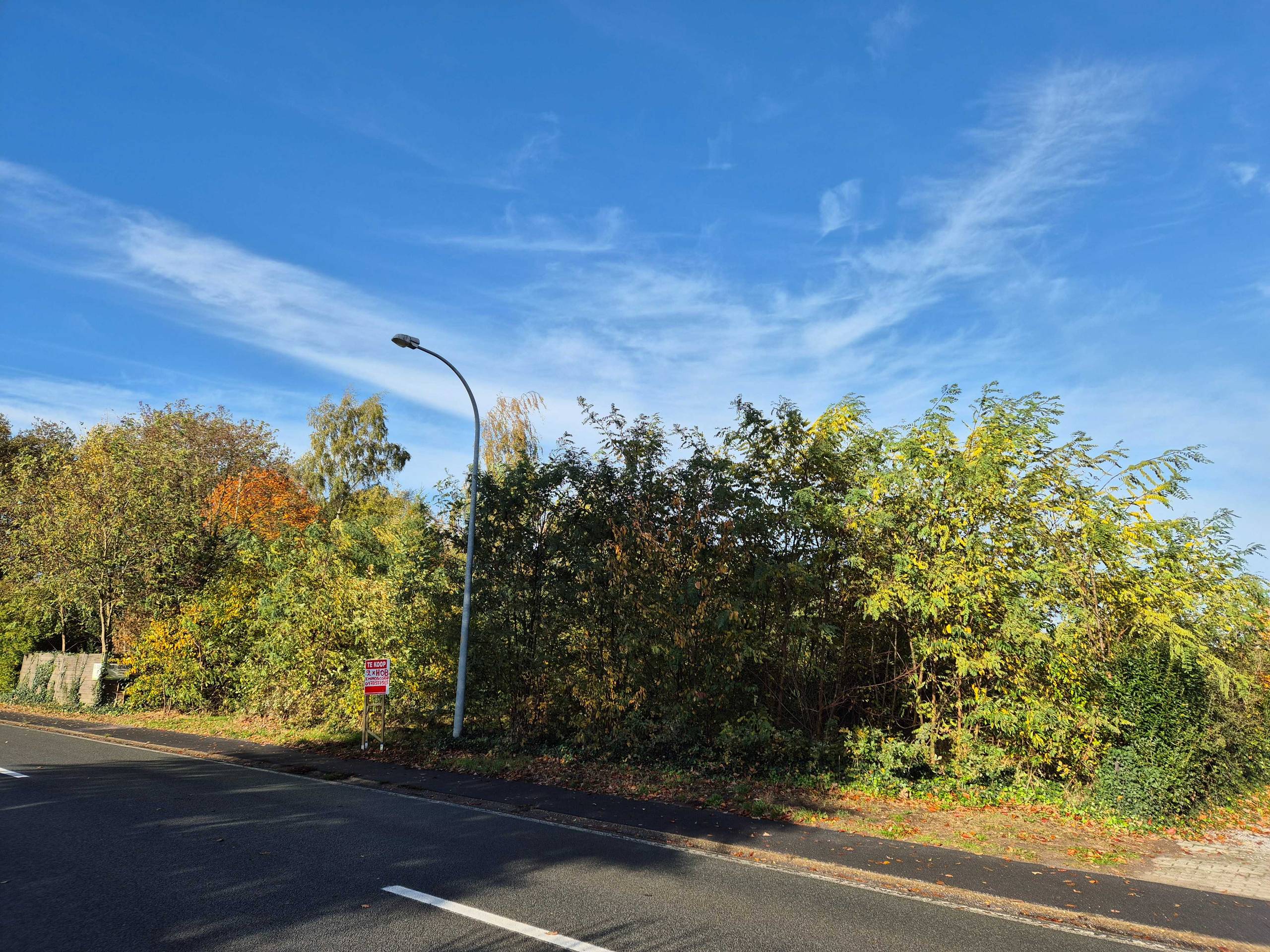 Grond te koop in Balen - foto 4