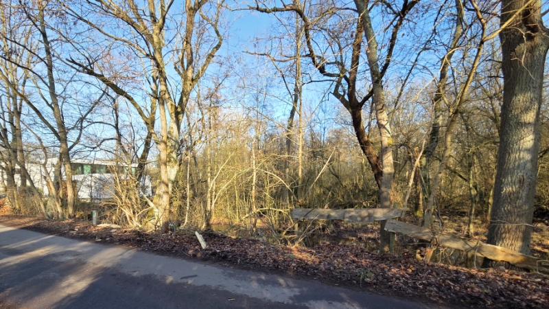 Bouwgrond van 12 are met perceelsbreedte van 24 meter - foto 4