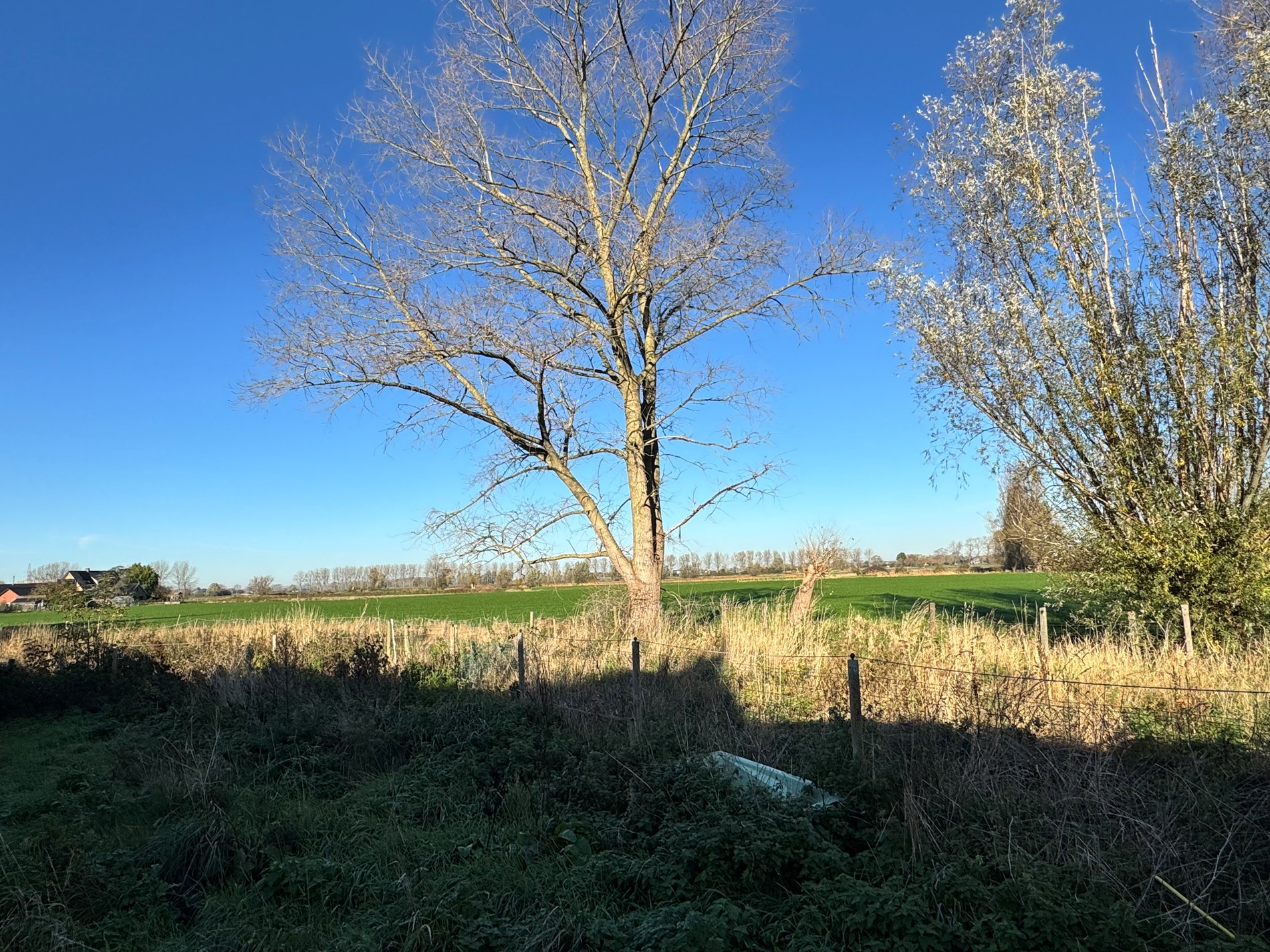 Bouwgrond te koop met uitzonderlijk zicht op de Broucken te Zarren - foto 1