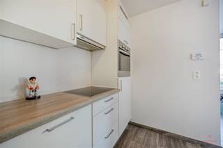 <p>Ideaal als investering of voor eigen bewoning.</p><p>Gelegen in een rustige eenrichtingsstraat, op wandelafstand van het station, winkels, horeca en alle dagelijkse voorzieningen, biedt dit instapklare gelijkvloerse appartement een uitstekende combinatie van comfort, bereikbaarheid en een centrale ligging.</p><p>Troeven:<br />• Interessante investering met aantrekkelijk verhuurpotentieel<br />• Recent vernieuwd en instapklaar<br />• Kleinschalige residentie<br />• Lage gemeenschappelijke kosten<br />• Centrale ligging in het hart van Aalter</p><p>Interesse? Neem gerust contact op voor meer informatie of een vrijblijvend bezoek. Simon: +32 499 99 49 17 of simon@heritagevastgoed.be</p><p>Praktische info:<br />• EPC label C | 218 kWh/m² jaar – geen renovatieverplichting<br />• Stedenbouwkundige inlichtingen: Vg | Wg | Gmo | Gvkr | Vv<br />• De bovenvermelde bewoonbare oppervlakte betreft de bruto oppervlakte zoals vermeld in het EPC-attest.<br /> </p>