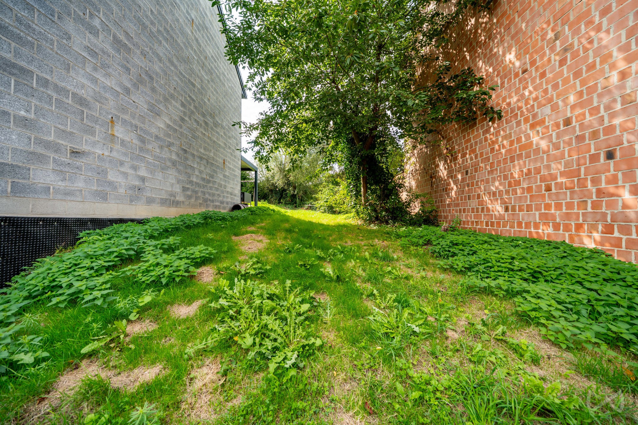 Land for sale in Jupille-Sur-Meuse - photo 4