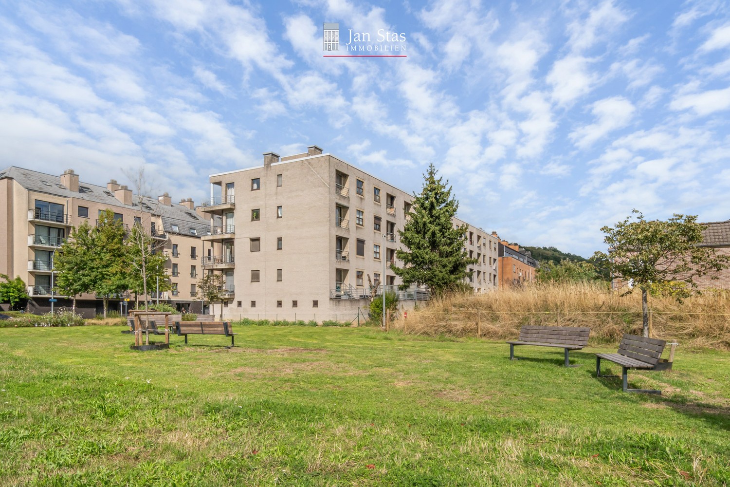 …