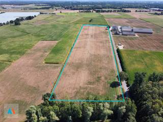 <strong>Mooi gelegen landbouwgrond van 4 ha 37 a 16 ca te Rijkevorsel, ter streke "De Schomme"</strong>. Dit perceel biedt een uitstekende landbouwkundige ligging en is geschikt voor akkerbouw, grasland, boomkwekerij en diverse andere teelten. Gelegen in herbevestigd agrarisch gebied en vlot bereikbaar via de Merenloopweg.<br /><br /><strong>Vrij van pacht vanaf 31 december 2027</strong>. Een interessante opportuniteit voor landbouwers of investeerders die op zoek zijn naar een perceel van aanzienlijke oppervlakte in een sterke agrarische omgeving. Contacteer Aertsen Makelaars voor meer informatie.