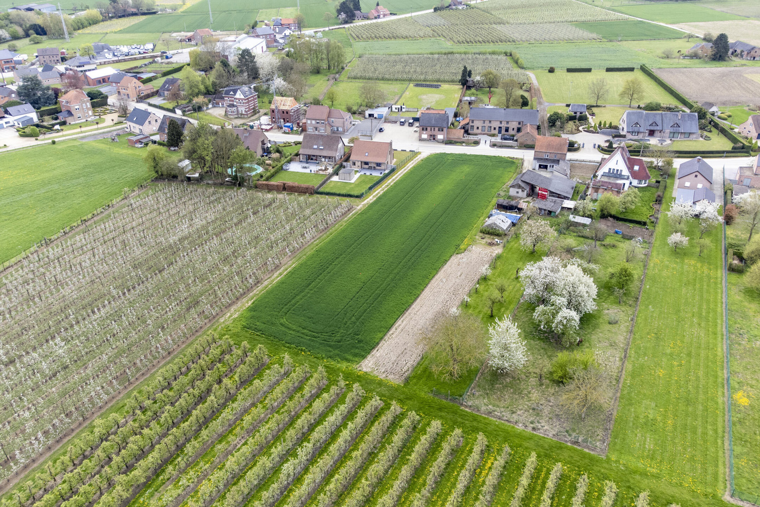 MOOI GELEGEN BOUWGRONDEN IN GLABBEEK (LOT2) - foto 2