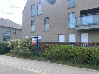 Om u kandidaat te stellen als huurder, verzoeken we via onderstaande link in te loggen, druk op de rode knop "Bezoek aanvragen" en vul uwhuurprofiel...