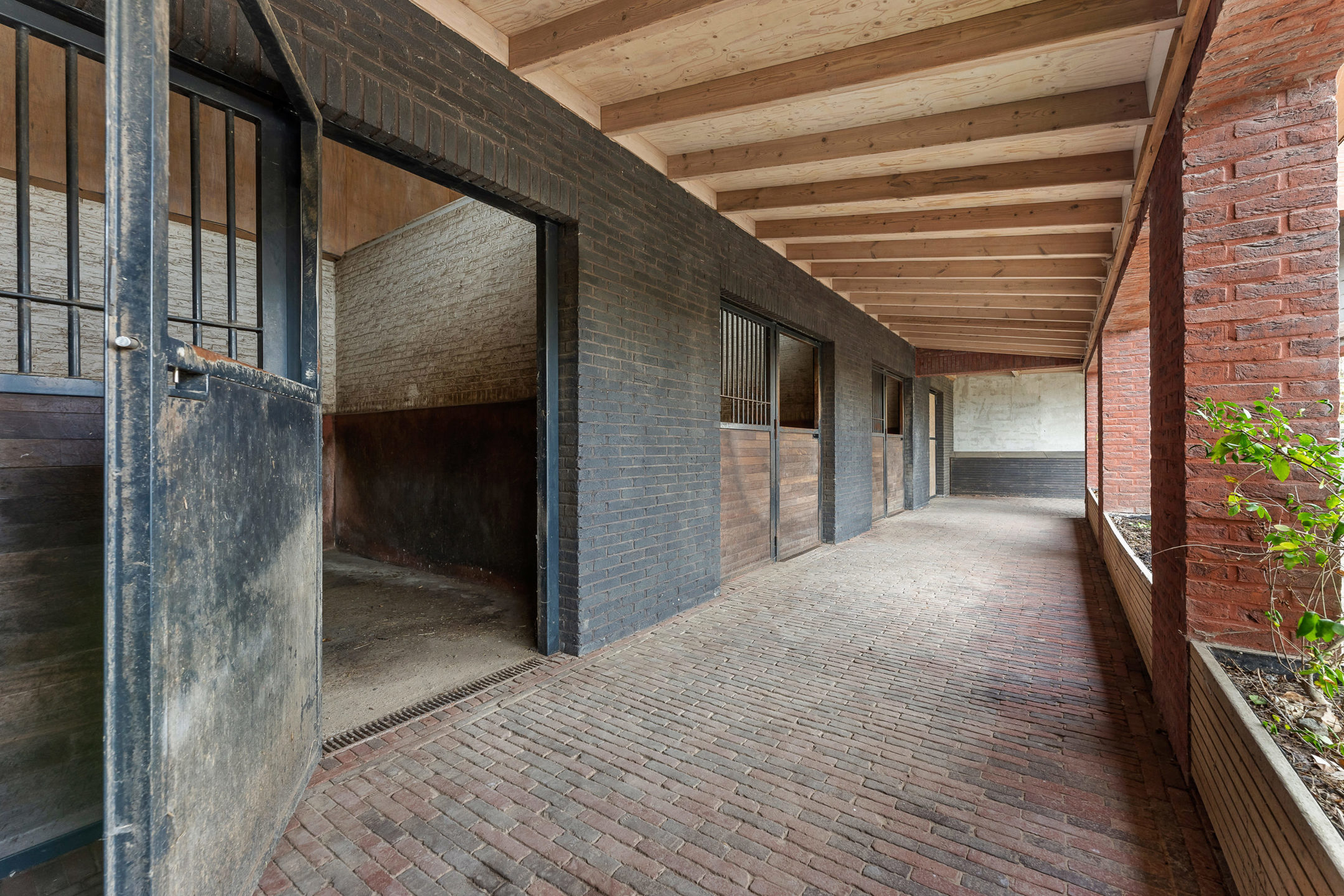 House for sale in Riemst with 3 bedrooms - photo 3