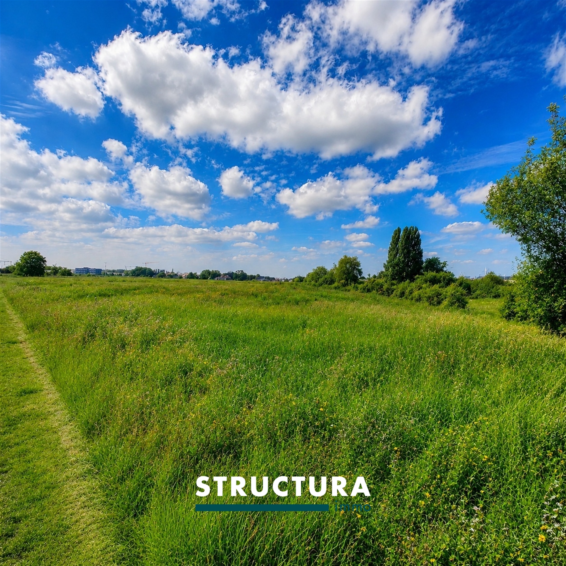 terrain agricole - photo 5