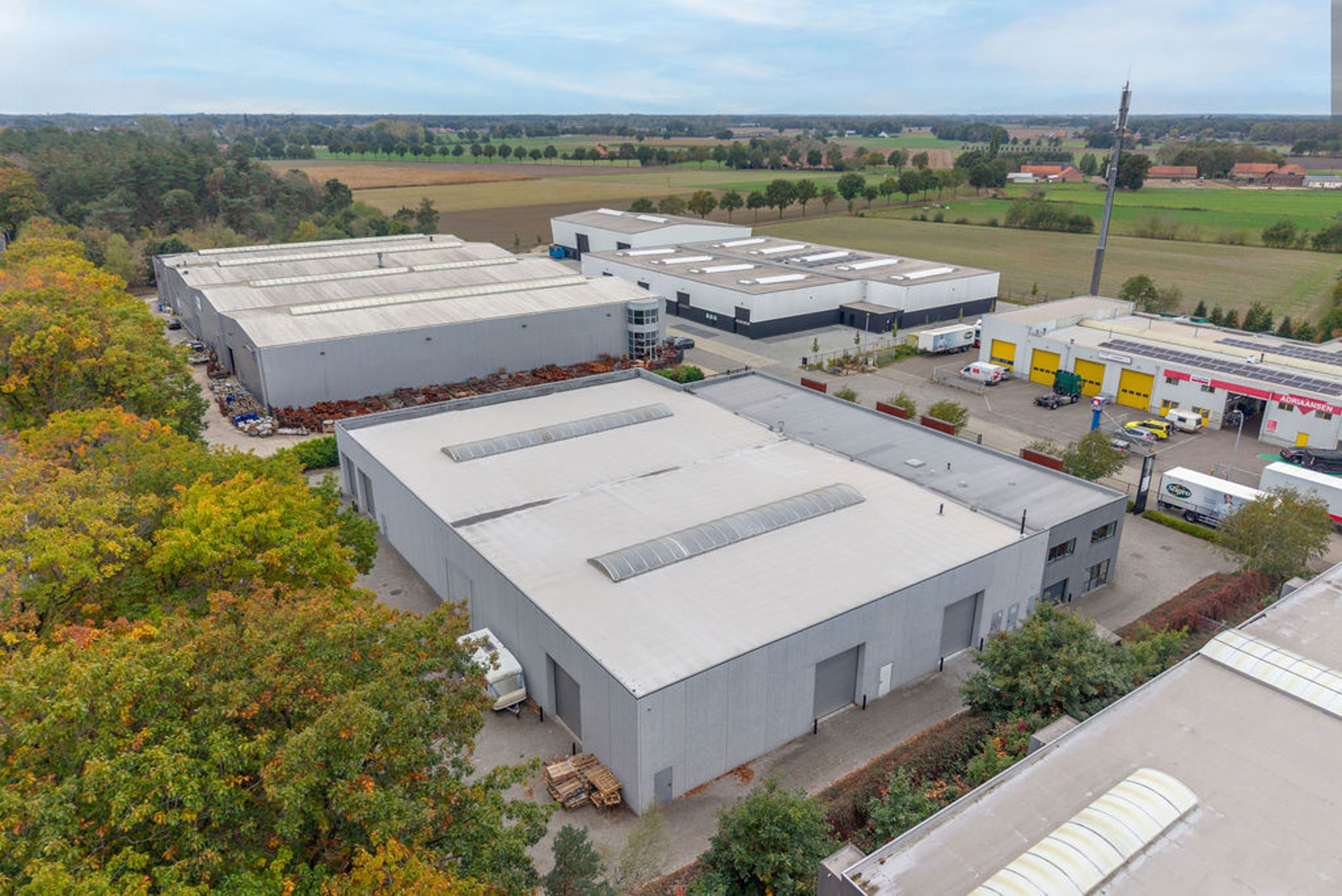 Commercial à louer à Ravels - photo 3