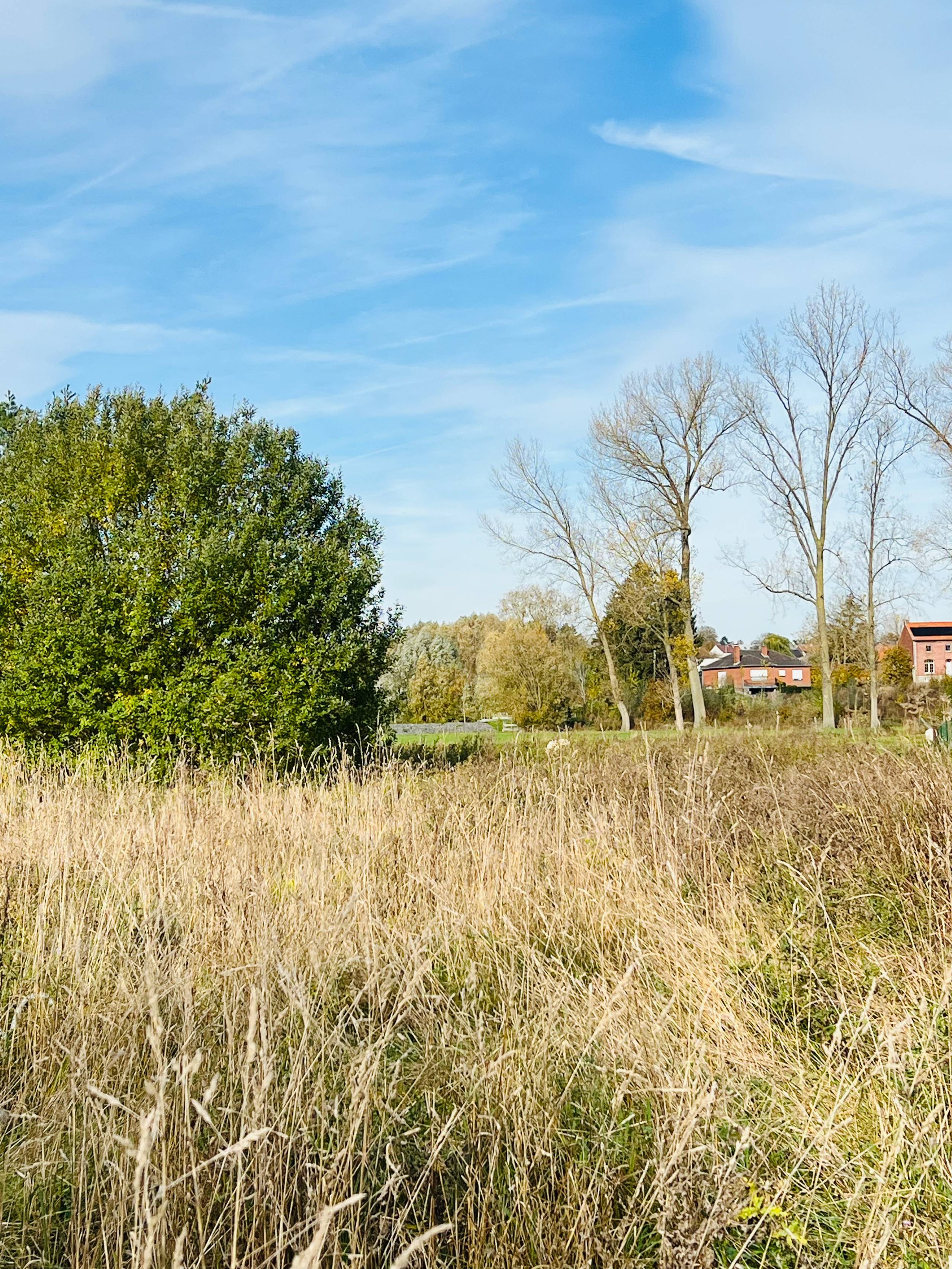 Mooie bouwgrond van 11a92ca voor open bebouwing, met een straatbreedte van 20,80 meter en landelijk uitzicht op de dorpskerk. Maakt deel uit van een goedgekeurde niet vervallen verkaveling. - foto 4