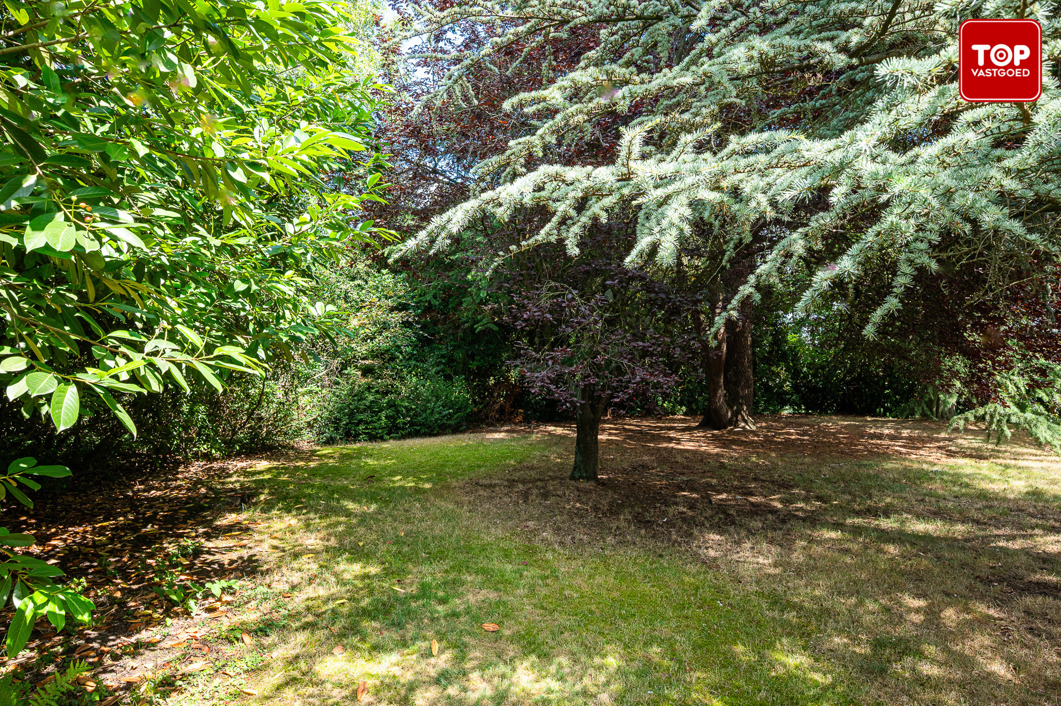 Mooi stuk bouwgrond voor ruime half open bebouwing - foto 3