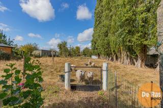 ERPE-MERE- Twee woningen in het landelijke MereDeze woningen zijn gelegen boven het centrum van Mere, nabij de Kerk, winkels, busstation, scholen en...