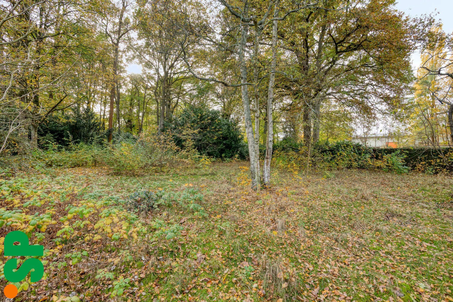 Ruime gezinswoning met veel potentieel op perceel van 19A in Mol-Gompel.  - foto 4
