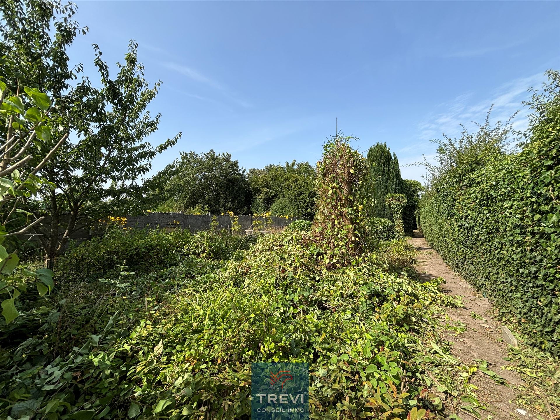 Huis te koop in Rebecq-Rognon met 3 slaapkamers - foto 5