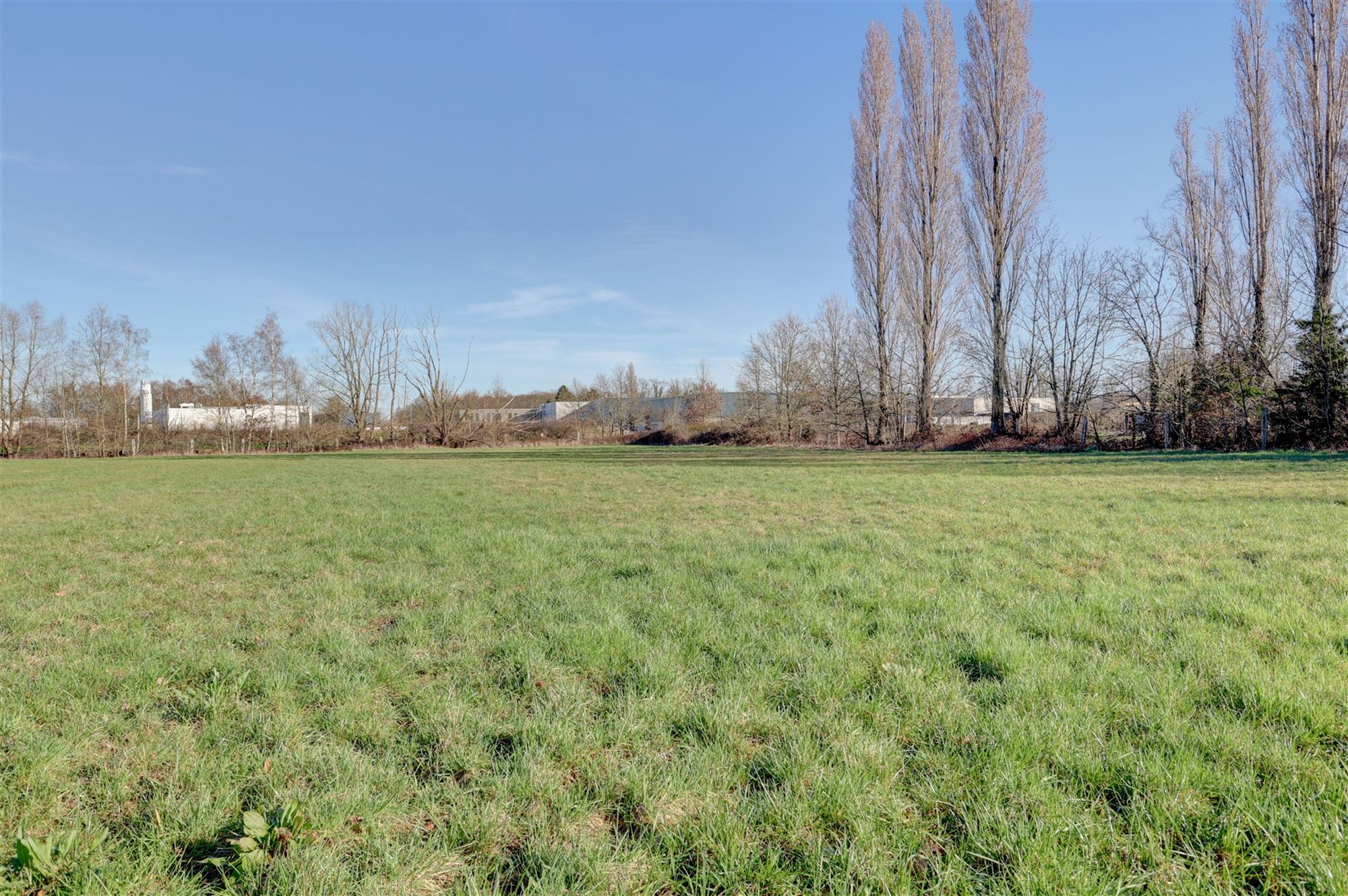 Idyllische paardenweide / bosgrond in Bonheiden - foto 5