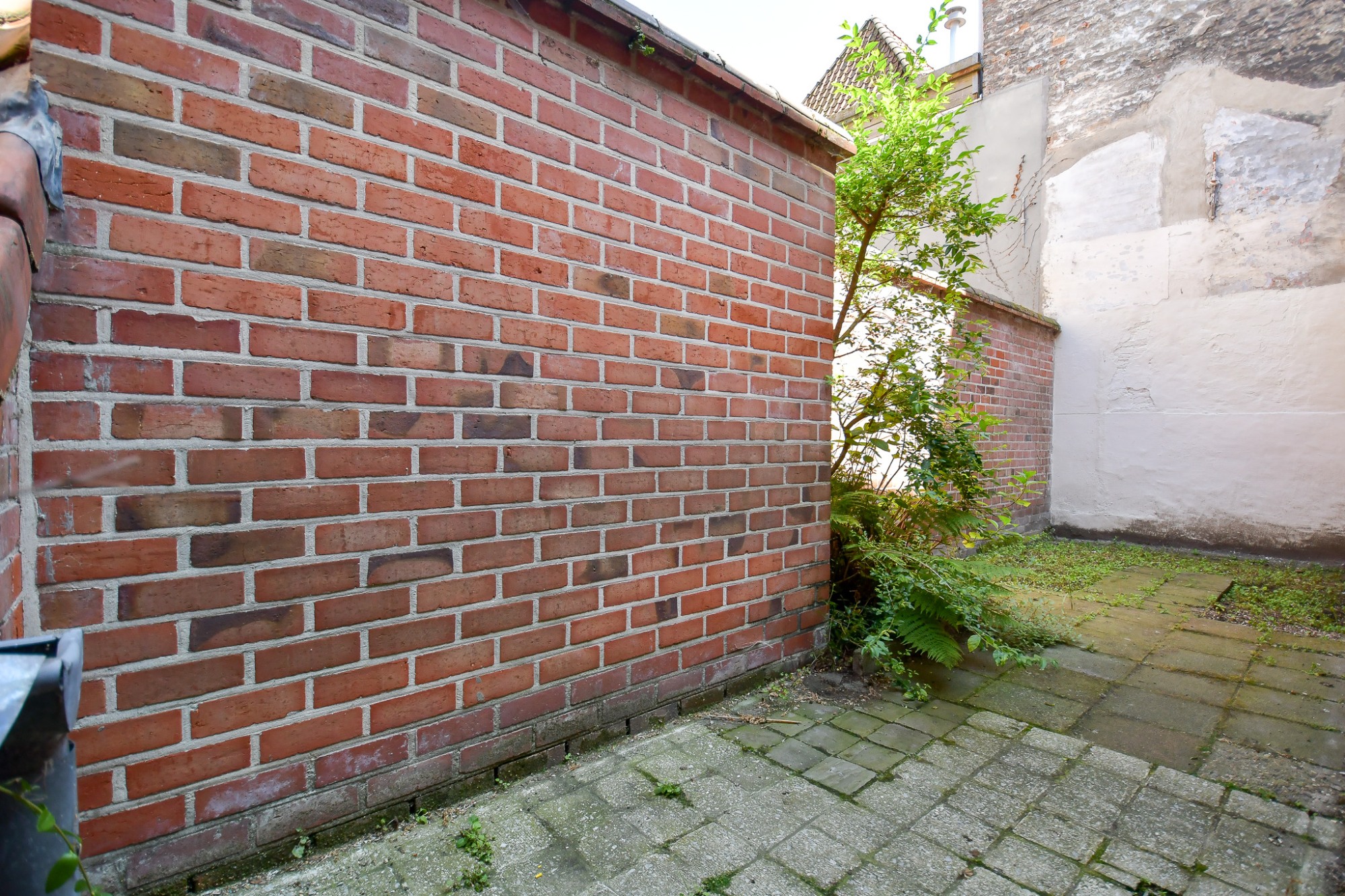 Ruime lichtrijke hoekwoning met 4 slpk en stadskoer - foto 3