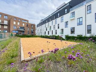 <h3> </h3>
EXCLUSIEF PENTHOUSE gelegen op de VIJFDE VERDIEPING van een RECENTE RESIDENTIE. Het appartement biedt een UNIEK UITZICHT op de SCHELDE en ligt op WANDELAFSTAND van het CENTRUM van Oudenaarde. Dankzij de GROTE RAAMPARTIJEN en TWEE RUIME TERRASSEN geniet u hier van overvloedig NATUURLIJK LICHT en een OPTIMAAL BINNEN-BUITENGEVOEL. De lichtrijke leefruimte met open keuken biedt een sublieme connectie met beide terrassen. Dankzij de KWALITATIEVE AFWERKING en de doordachte indeling is er een UITZONDERLIJK WOONCOMFORT aanwezig. Dit UNIEKE EIGENDOM combineert LUXE, RUIMTE en LOCATIE tot een onweerstaanbaar geheel.<br />Het appartement beschikt over een ruime woonkamer met open keuken, drie slaapkamers, een ingerichte badkamer, een afzonderlijk gastentoilet, een praktische bergruimte, een tweede bergruimte bereikbaar vanaf het terras, een inkomhal en een ruime nachthall. De terrassen bieden zowel rust als privacy, waarbij u kan genieten van zon en uitzicht op elk moment van de dag. In de kelder bevinden zich bovendien een ondergrondse autostaanplaats.<br /><br />Adres: Adriaan Brouwerstraat 13 bus 602, 9700 Oudenaarde<br /><br />EPC: label B, G-score en P-score A, Geen renovatieverplichting van toepassing