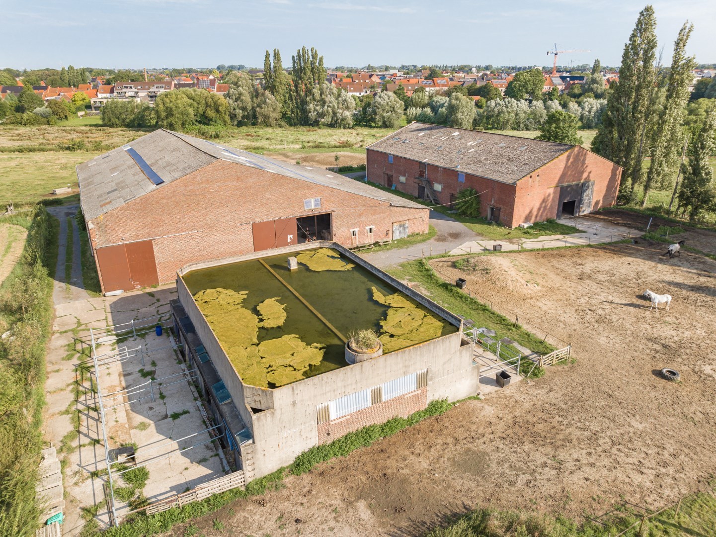 Uitzonderlijk vastgoed tussen Heulebeek en Leie op 4ha te koop in Kuurne - foto 5