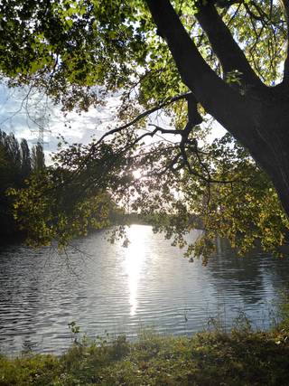 Maison à vendre à Anvers