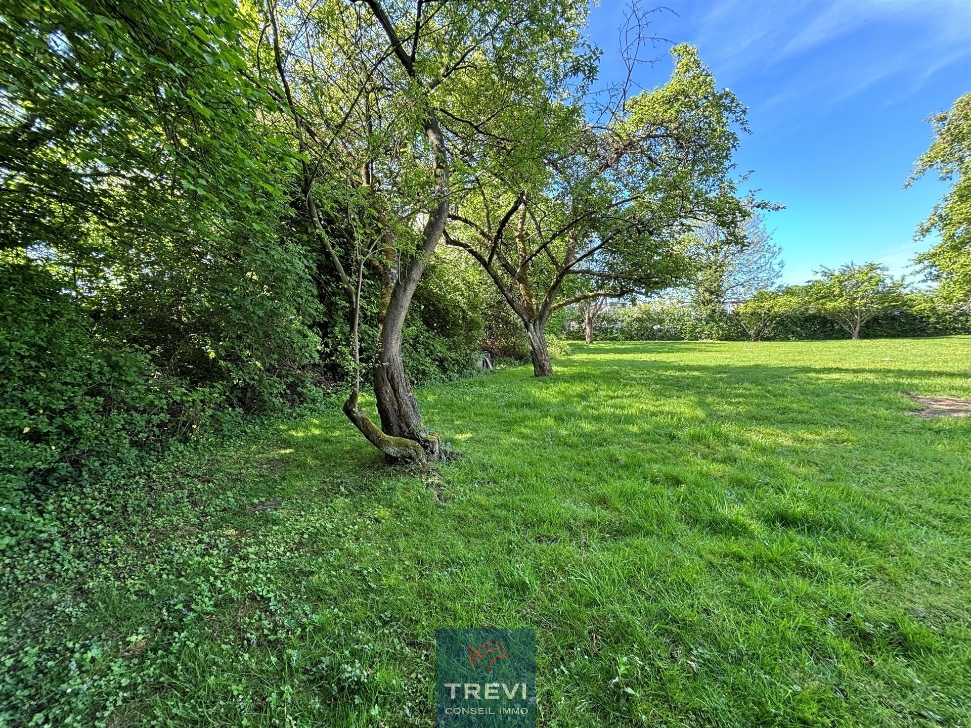 Superbe terrain pour une belle villa - photo 3