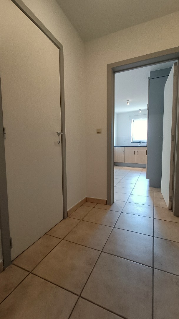 Duplex-appartement met groot terras te Haasrode (Oud-Heverlee) - foto 4