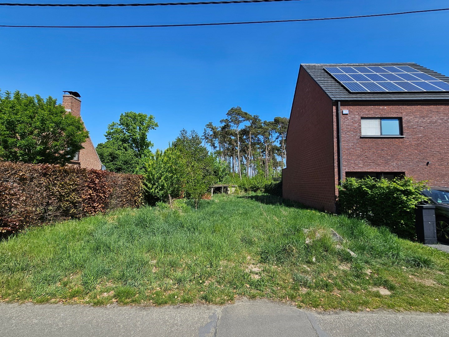 Grond te koop in Haacht - foto 5