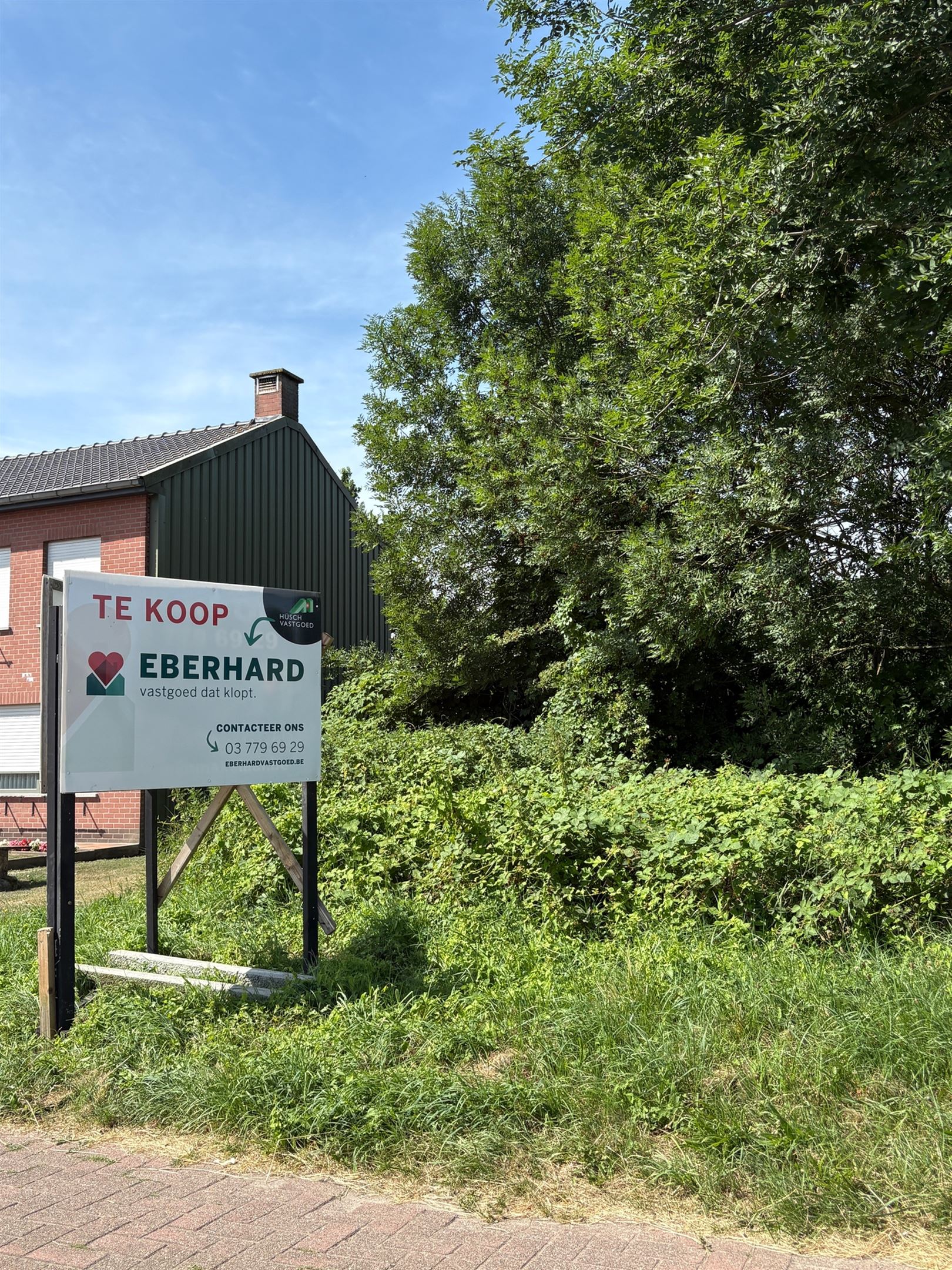 Bouwgrond - foto 4