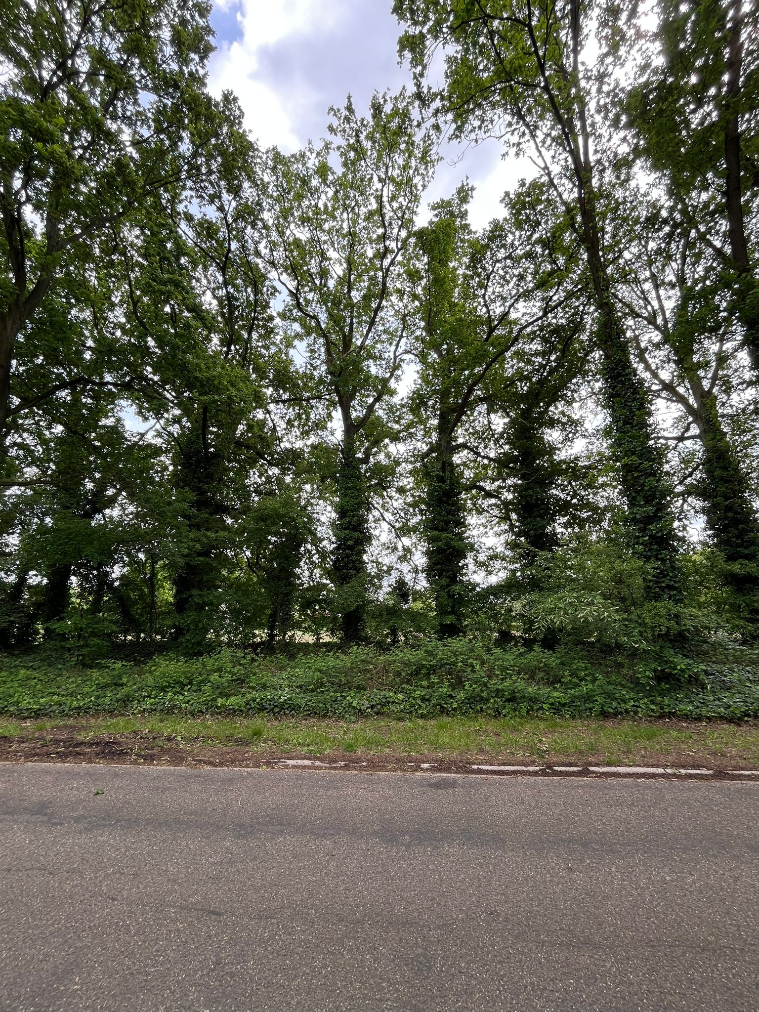 Land for sale in Heusden-Zolder - photo 4
