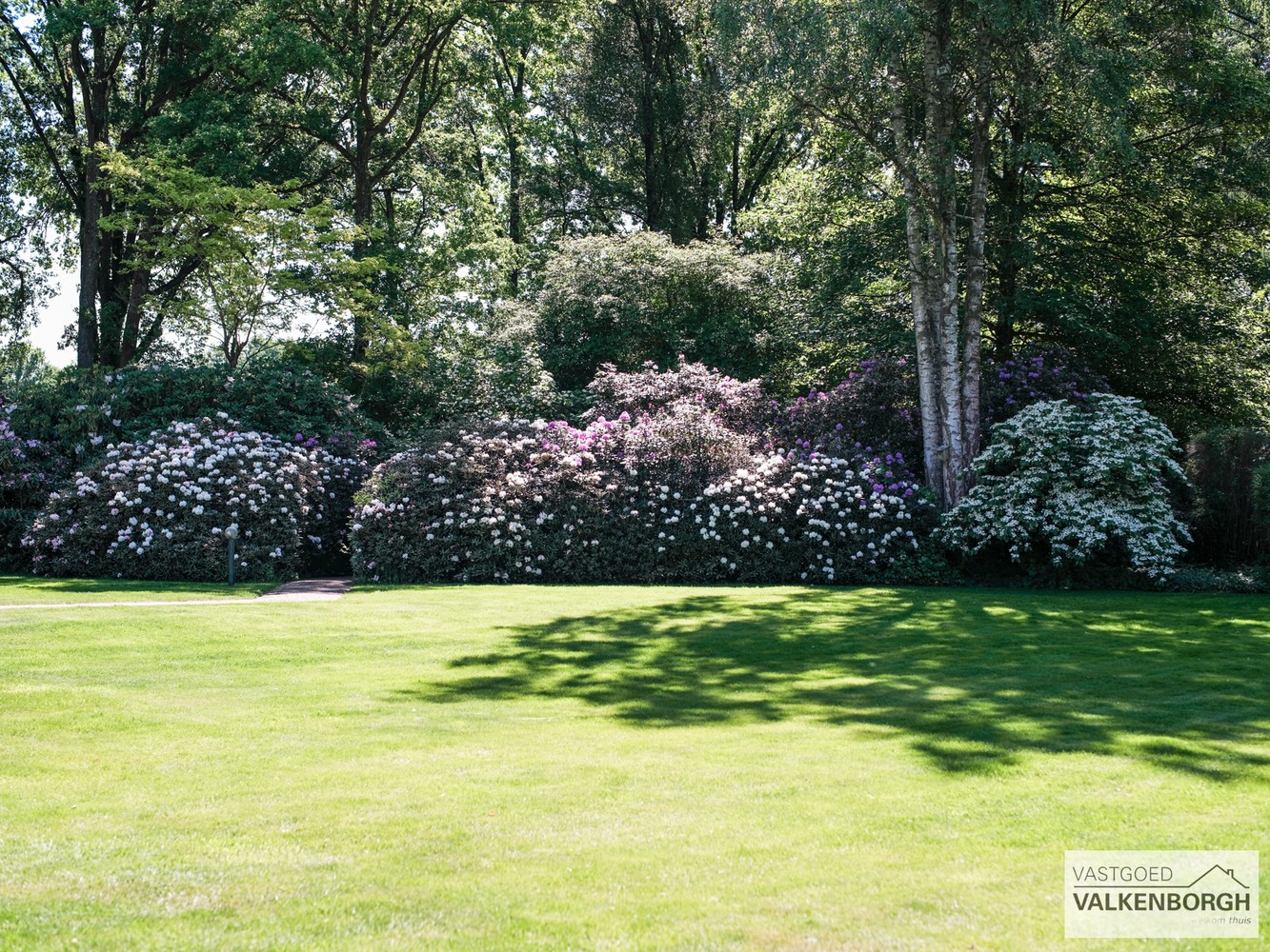 Exclusief wonen in alle rust en privacy, omringd door natuur, op een perceel van 2,4ha. - foto 4