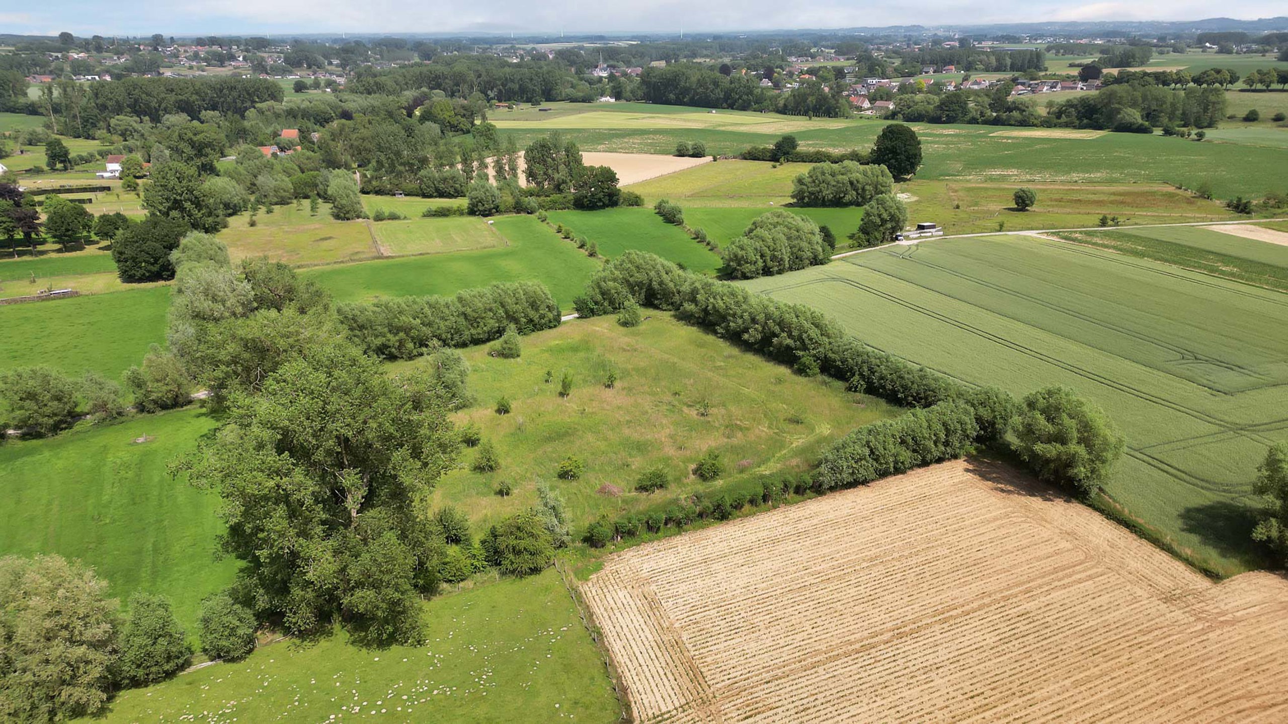 Weideland op een goede locatie - foto 5
