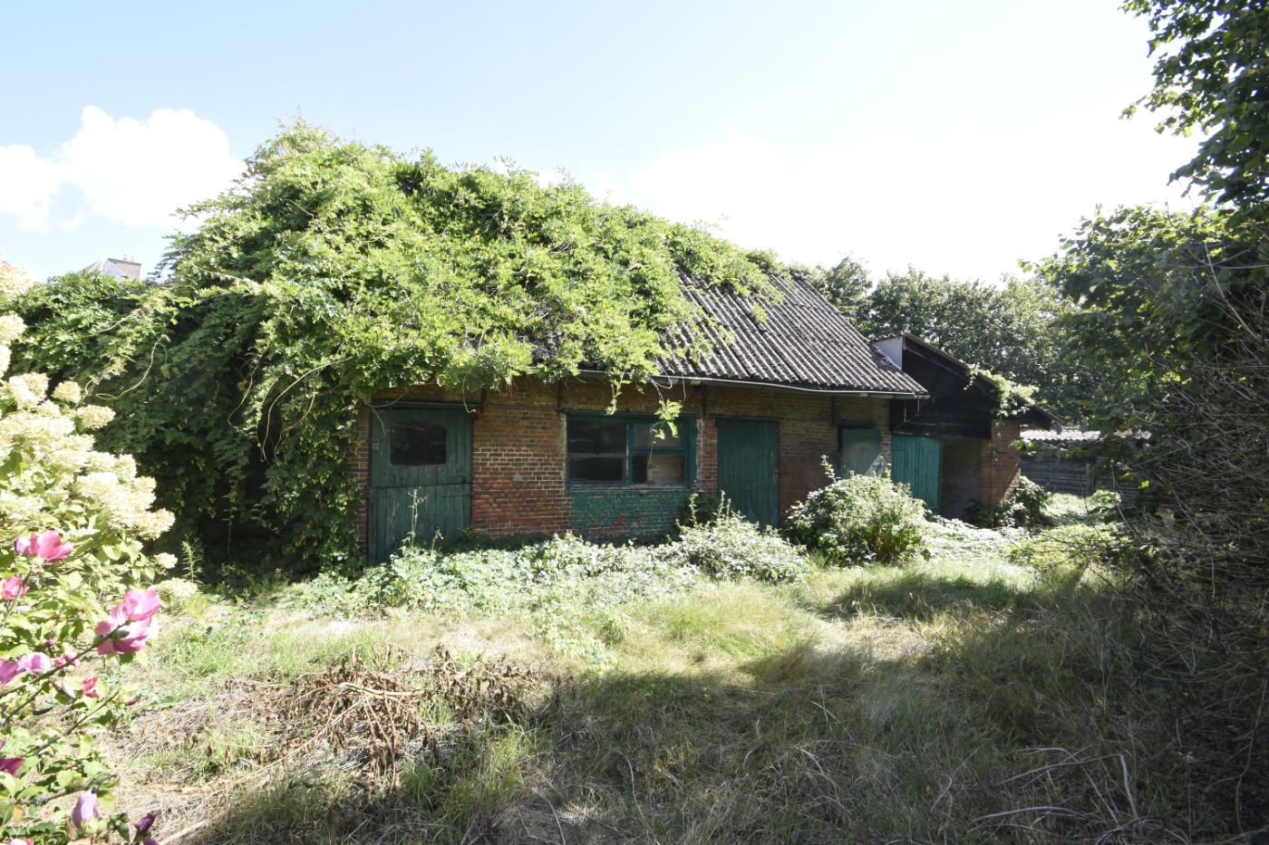 Bouwgrond voor open bebouwing in Elversele - foto 4