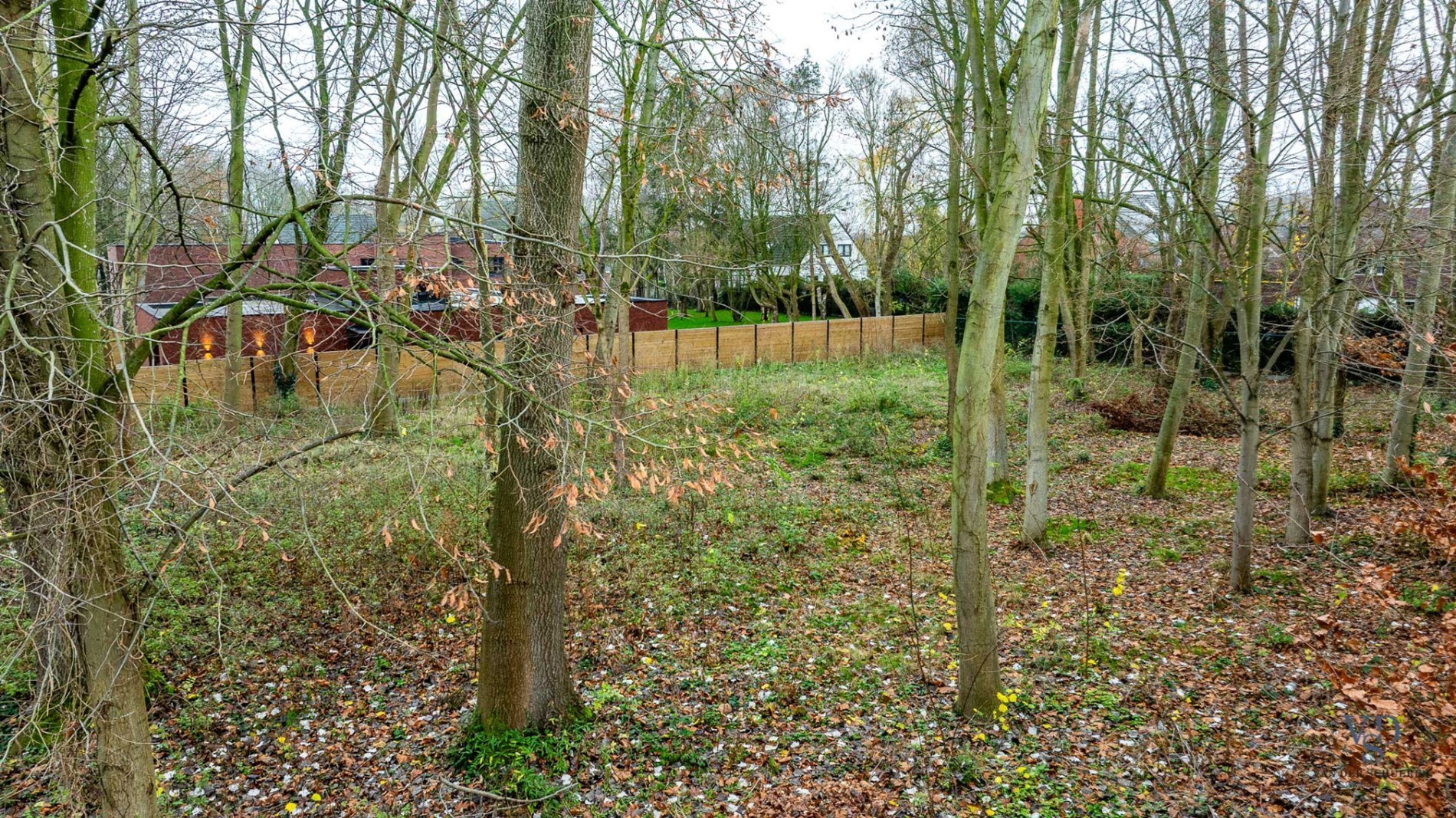 Land for sale in Dikkelvenne - photo 5