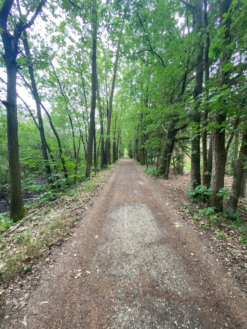 Recreatiegrond te koop met natuurlijke vijver in Westmeerbeek - foto 5