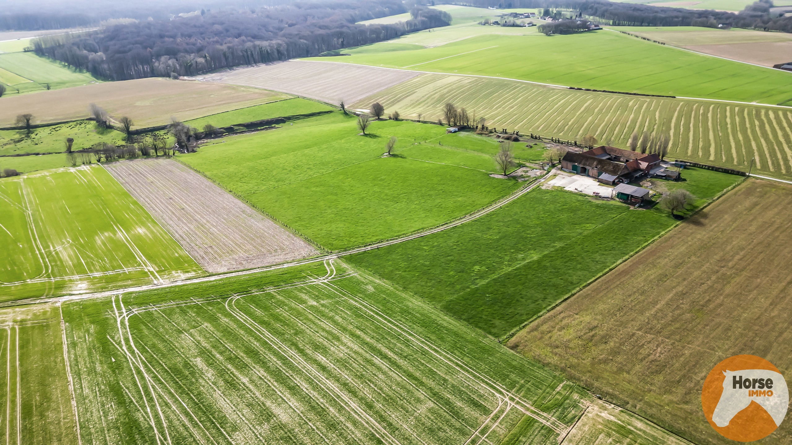 MAARKEDAL - Vierkantshoeve 1,7HA, extra grond mogelijk - foto 3
