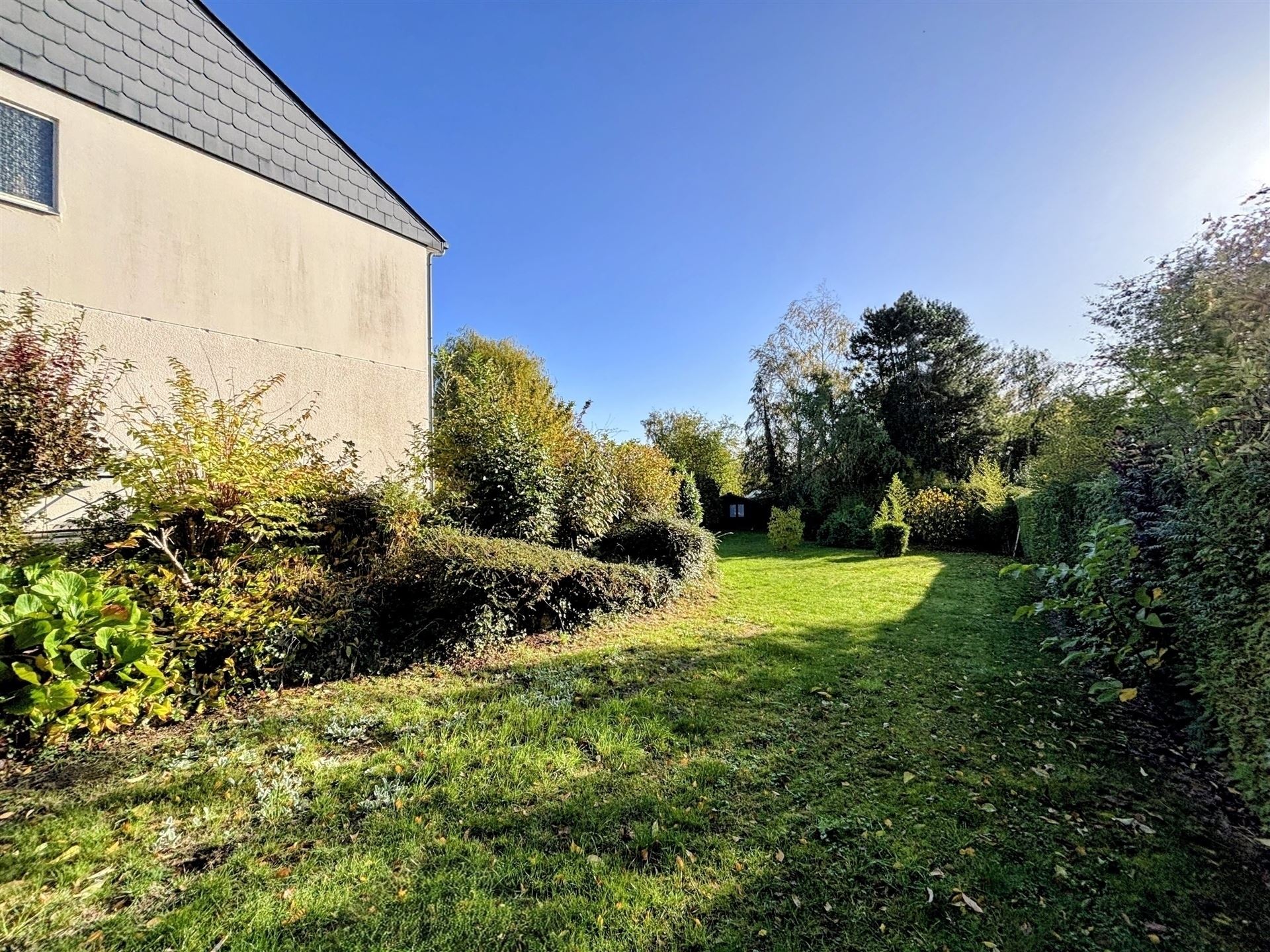SOUS OPTION Belle maison 3 chbres &amp; splendide jardin - photo 4