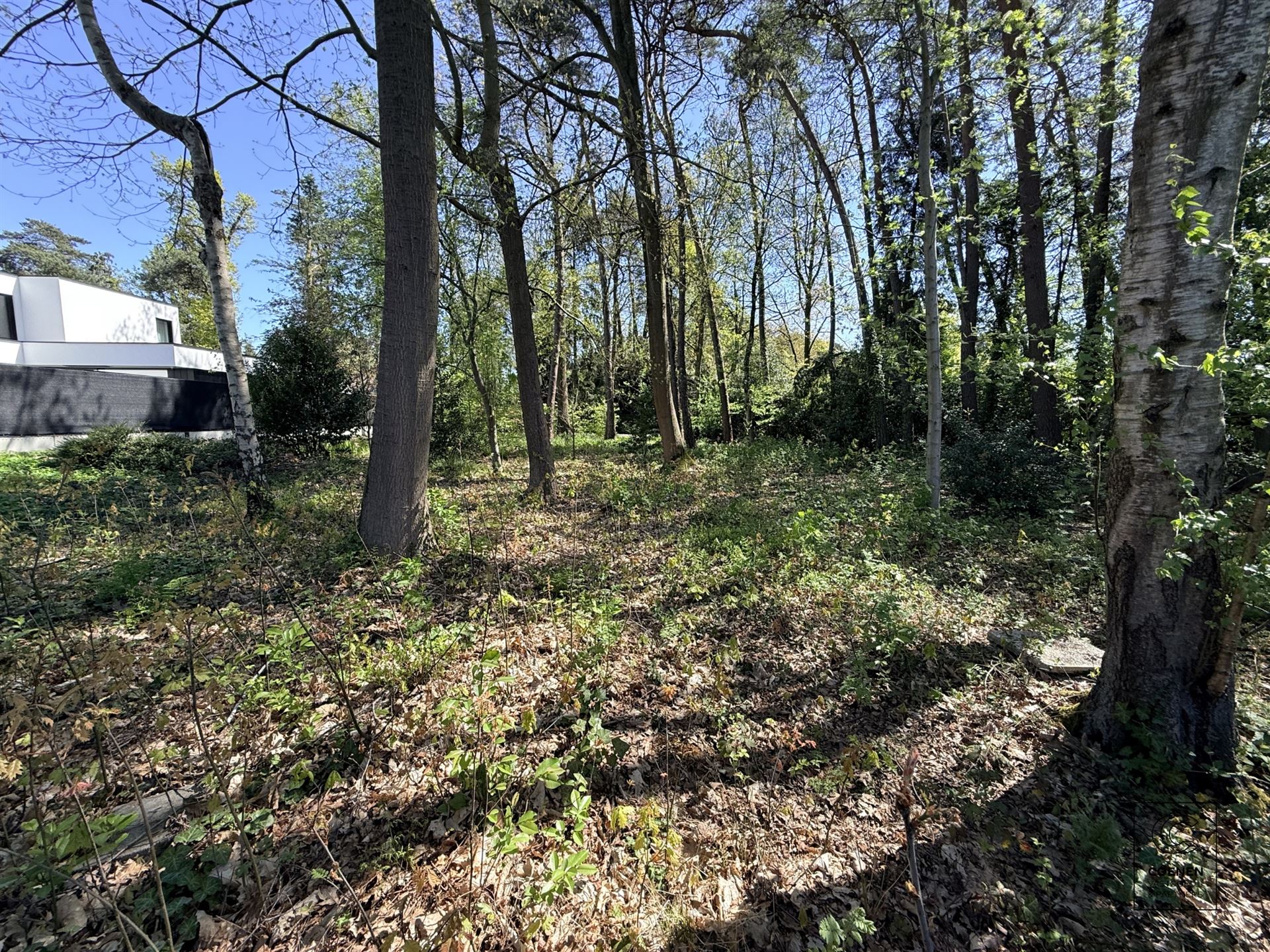 Rustig gelegen bouwgrond van 1.182 m² op een groene ligging! - foto 4