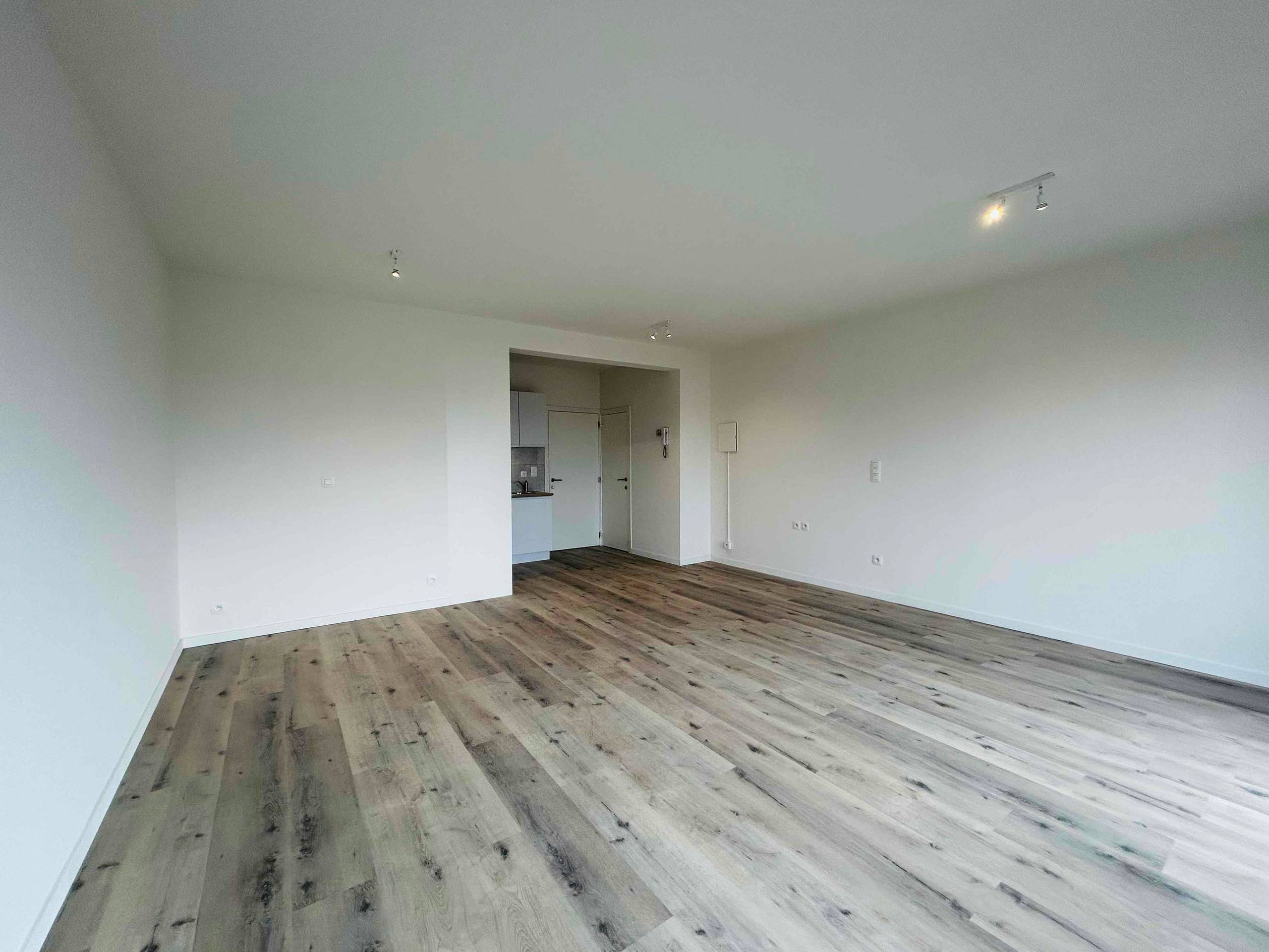 RUIME STUDIO - foto 3