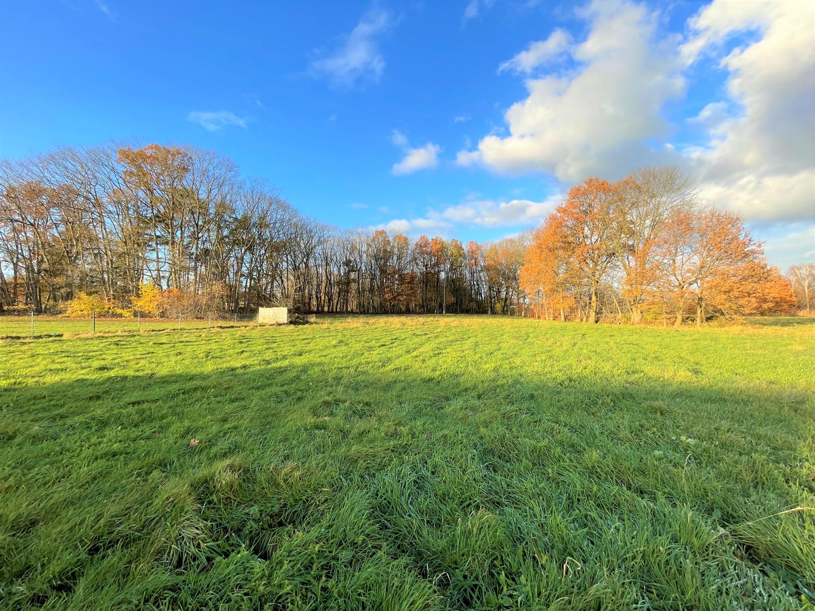 RUSTIG GELEGEN PERCEEL WEILAND OP 8661M² - foto 4