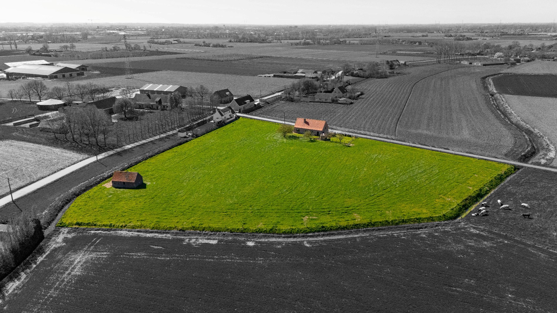 UNIEKE LANDELIJKE EIGENDOM MET WEILAND OP 1HA 35A 95CA - foto 2