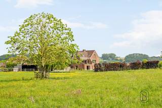 Te koop: unieke eigendom met paardenstallen/loods op 3,38 hectare genietend van een prachtig zicht op de Vlaamse Ardennen. In het landelijke...