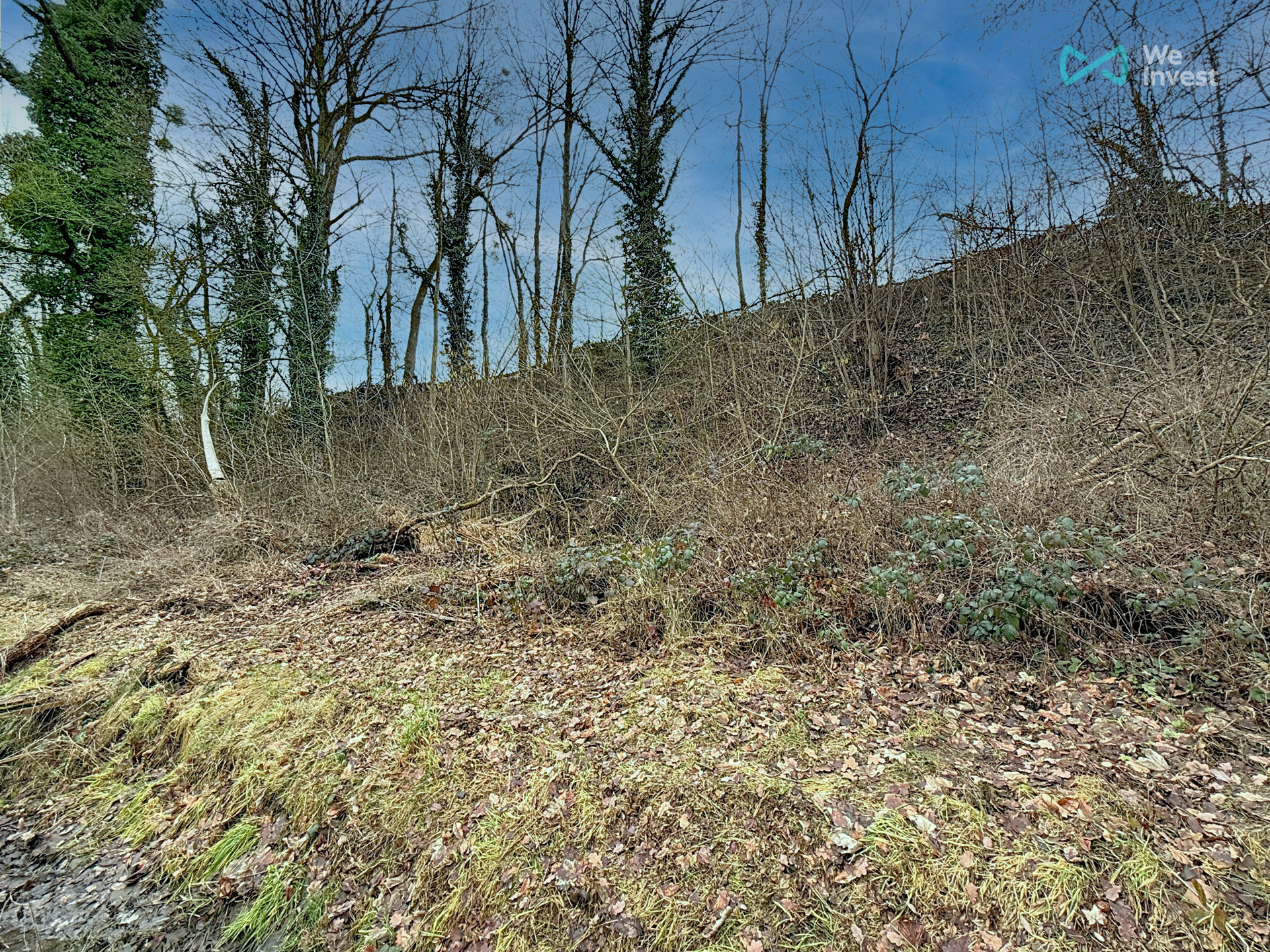 Terrain à beau potentiel, 11,10 ares  - foto 5