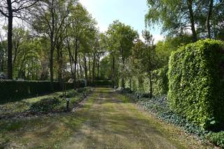 Op een mooie locatie gelegen hoekperceel bouwgrond.Dit perceel bouwgrond maakt deel uit van het kleine domein "Heidebrand", en geniet daardoor van...