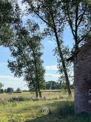 Op een royaal perceel van een halve hectare dicht bij het centrum van Torhout, doch rustig gelegen en vlak bij alle voorzieningen staat deze authentieke 19e eeuwse hoeve.<br /><br />De bestaande constructie bestaat uit een stevige gebouwstructuur met authentieke dakgebinten, houten balken en oorspronkelijke buitenmuren. De woning is momenteel volledig gestript en vereist een volledige renovatie van A tot Z. <br /><br />Wat dit pand extra bijzonder maakt is dat het beschermd erfgoed is én dat er reeds een vergunning is toegekend voor de verbouwing van de schuur naar een schuurwoning. Deze vergunning biedt meteen een concreet kader voor de herontwikkeling met behoud van het landelijke karakter.<br /><br />Tot slot beschikt de hoeve achteraan over prachtige verzichten en dit terwijl de tuin zuid gericht is. Dit is met andere woorden een ware verborgen parel te noemen met tal van mogelijkheden.