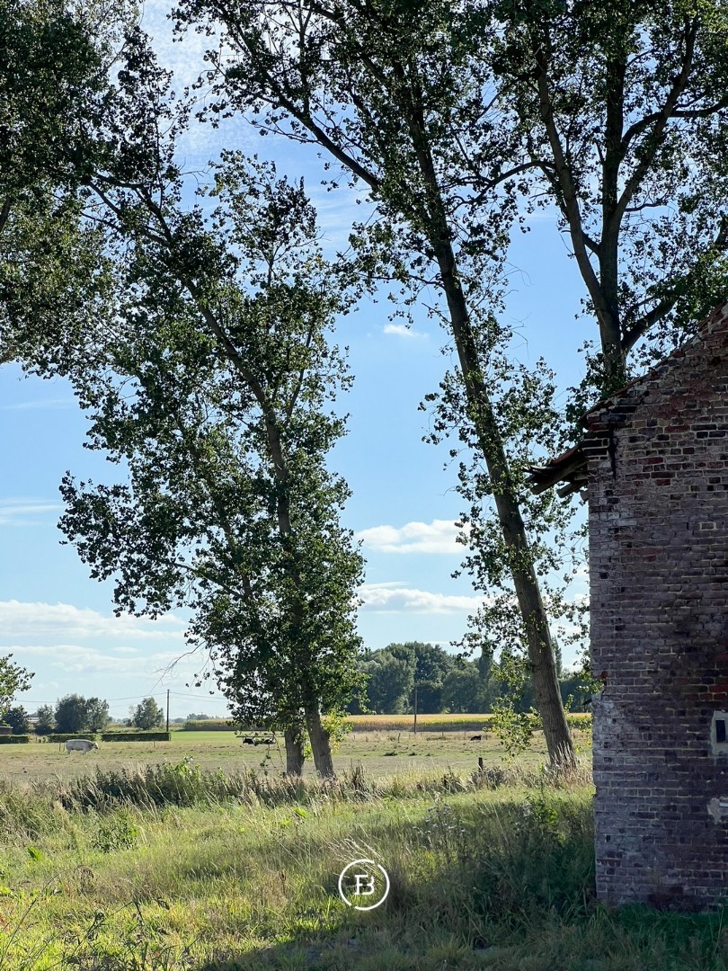 19e eeuwse hoeve - foto 3