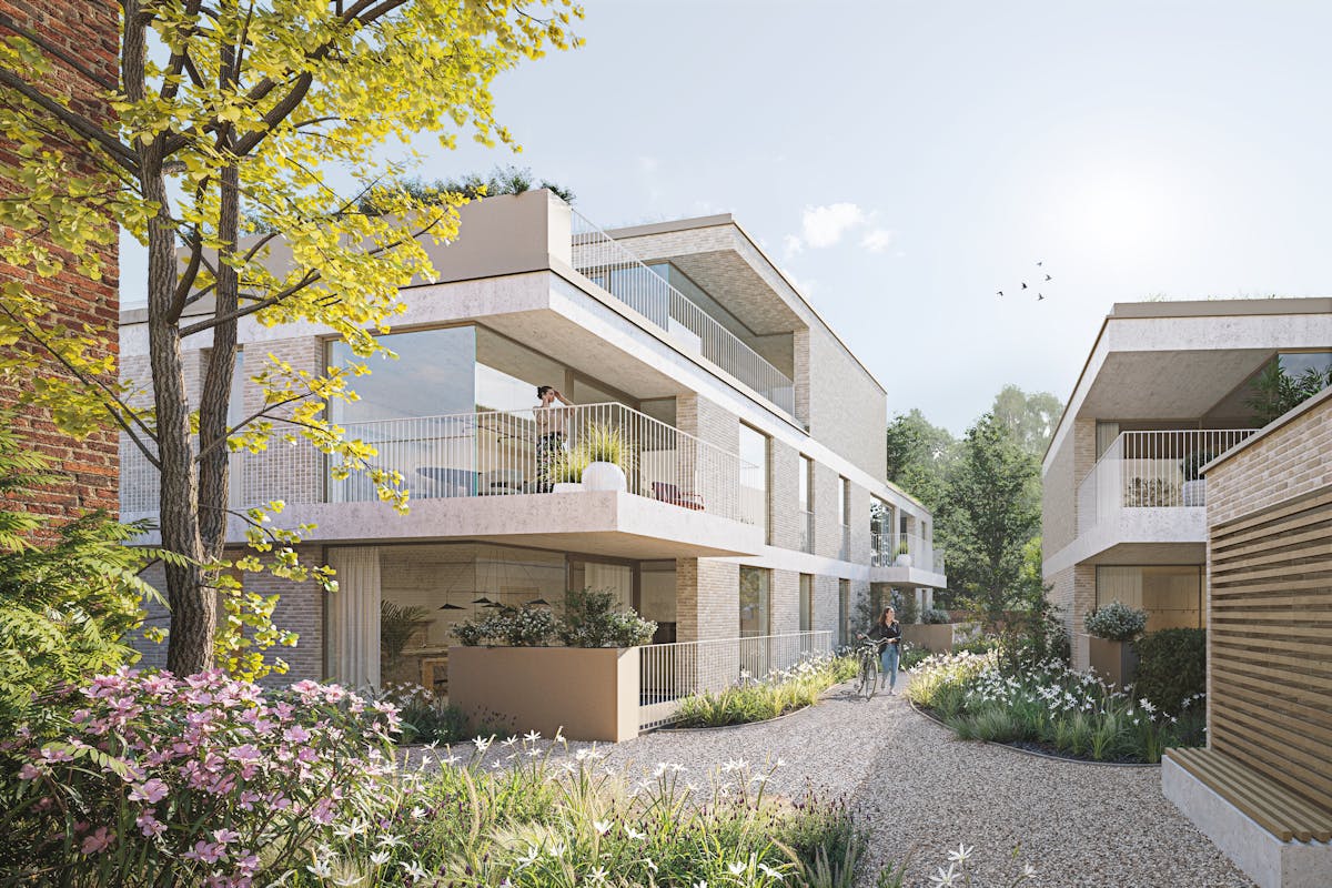 De Bóngert - photo 2