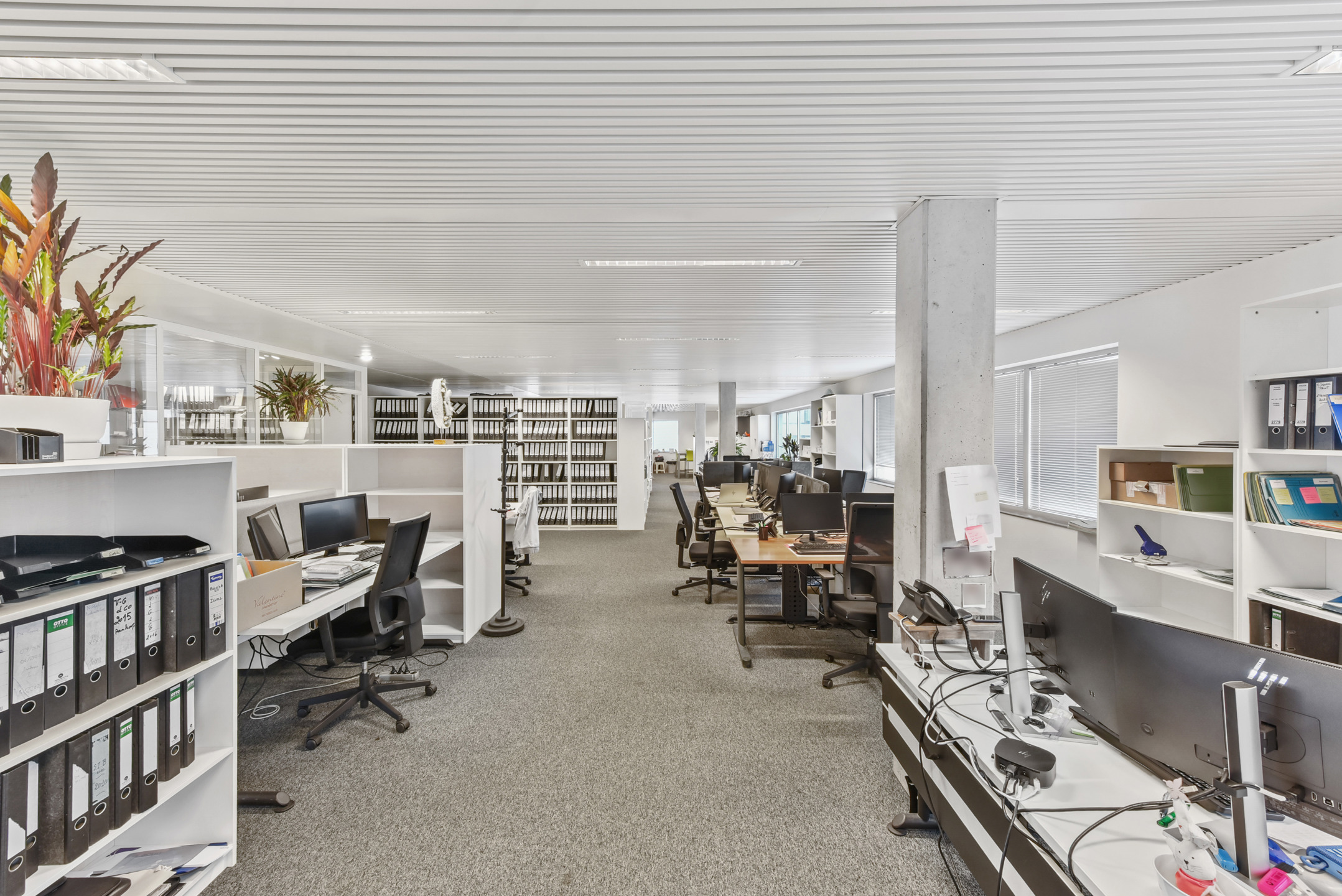 Commercial à vendre à Dilbeek - photo 2