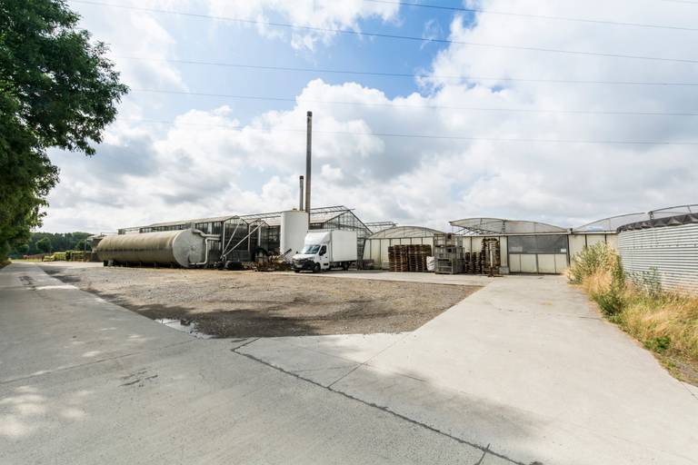 Welgelegen serrecomplex, ideaal voor agrarische activiteiten - foto 5