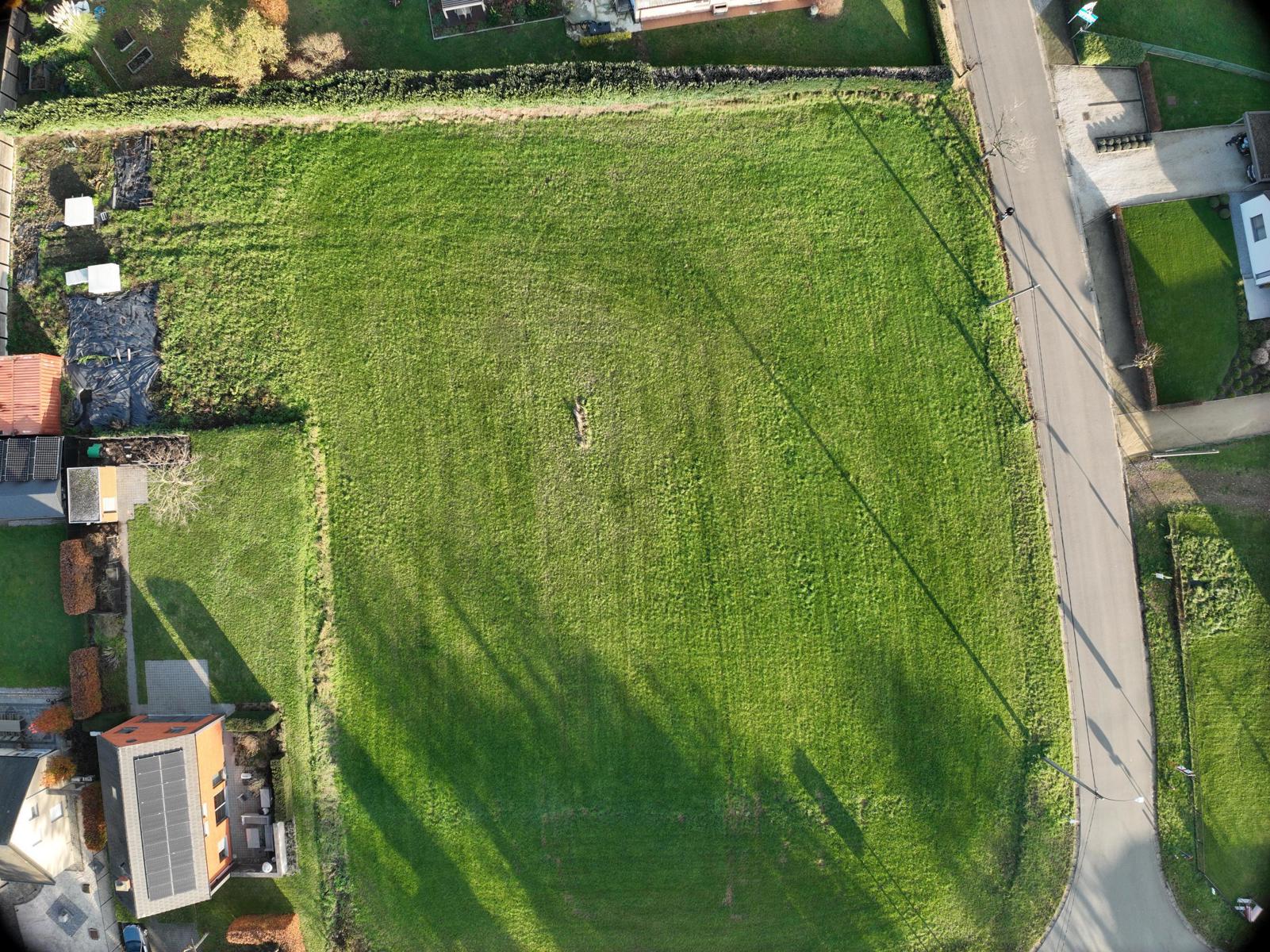 Bouwgrond te koop in Tessenderlo! - foto 3