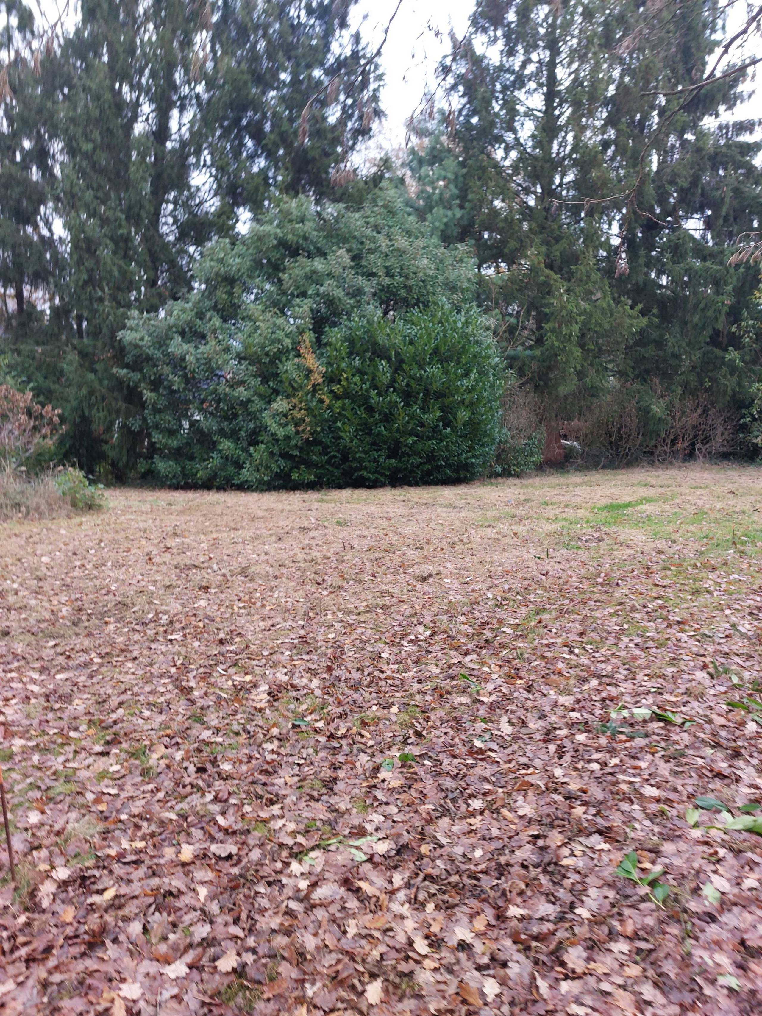 Grond te koop in Kessel-Lo - foto 5